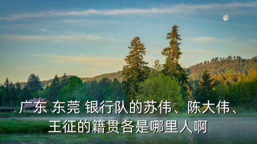 廣東 東莞 銀行隊的蘇偉、陳大偉、王征的籍貫各是哪里人啊