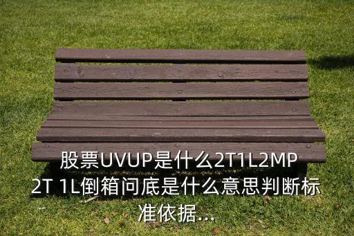  股票UVUP是什么2T1L2MP2T 1L倒箱問底是什么意思判斷標準依據(jù)...