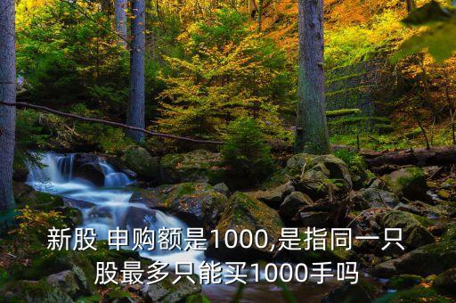 新股 申購額是1000,是指同一只股最多只能買1000手嗎