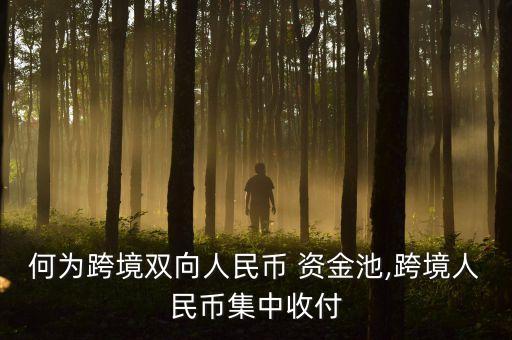 何為跨境雙向人民幣 資金池,跨境人民幣集中收付