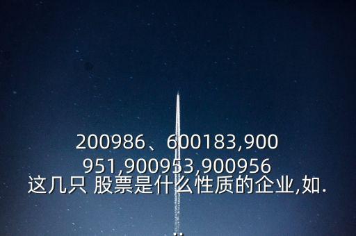 200986、600183,900951,900953,900956這幾只 股票是什么性質(zhì)的企業(yè),如...