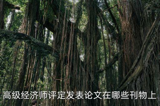 長沙藏愚科技有限公司,長沙天儀空間科技研究院有限公司