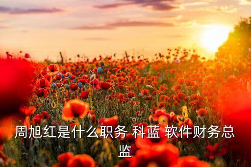 周旭紅是什么職務(wù) 科藍(lán) 軟件財務(wù)總監(jiān)