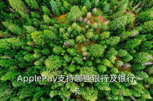 applepay中國(guó),Applepay中國(guó)銀行一類(lèi)卡