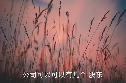 股份有限公司股東人數(shù)上限,有限責(zé)任公司和股份有限公司股東人數(shù)