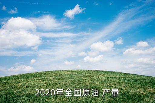 2020年全國(guó)原油 產(chǎn)量