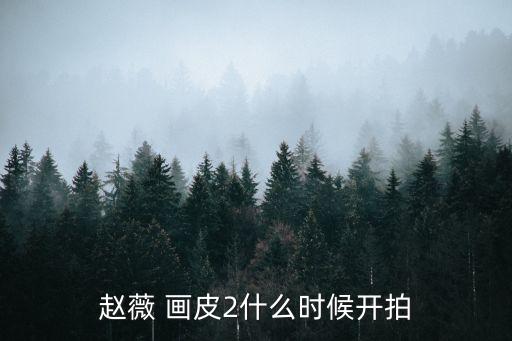 趙薇 畫皮2什么時(shí)候開拍