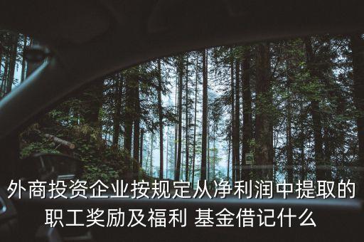 外商投資企業(yè)按規(guī)定從凈利潤(rùn)中提取的職工獎(jiǎng)勵(lì)及福利 基金借記什么