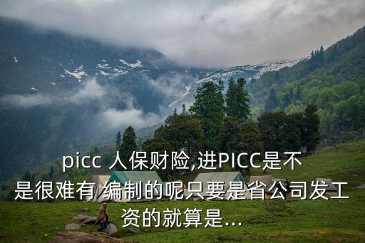 picc 人保財險,進(jìn)PICC是不是很難有 編制的呢只要是省公司發(fā)工資的就算是...