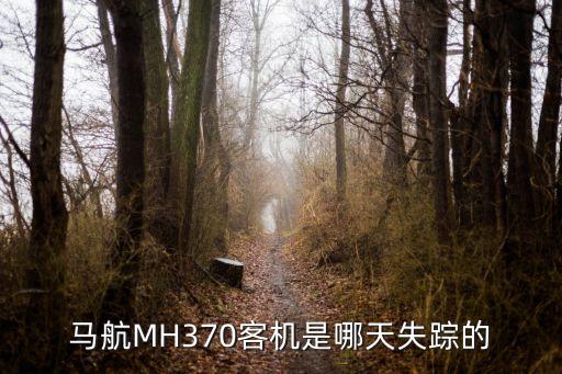 馬航MH370客機(jī)是哪天失蹤的