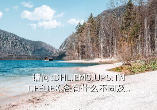 請問:DHL.EMS.UPS.TNT.FEDEX.各有什么不同及...