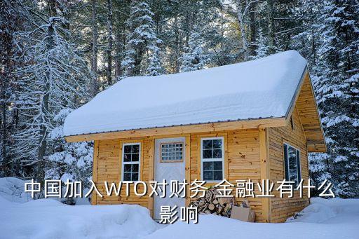 中國加入WTO對財務(wù) 金融業(yè)有什么影響