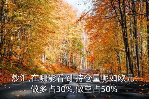 炒匯,在哪能看到 持倉(cāng)量呢如歐元:做多占30%,做空占50%