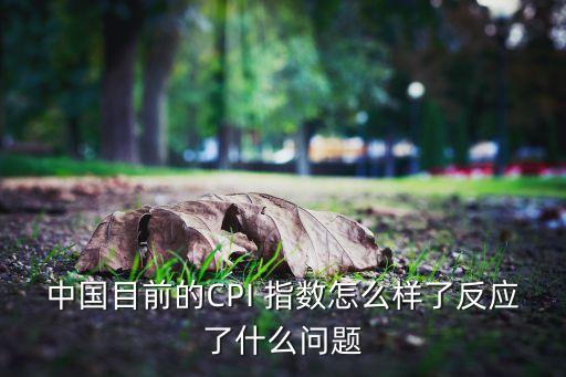 2014年quannian中國cpi指數(shù)