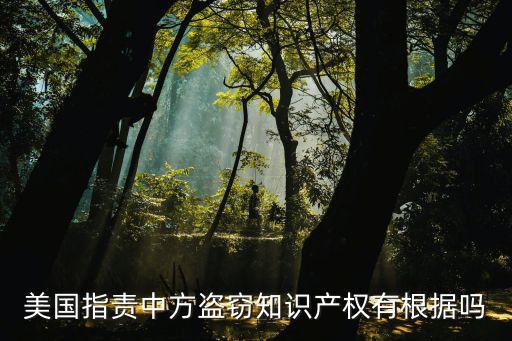 美國指責(zé)中方盜竊知識產(chǎn)權(quán)有根據(jù)嗎