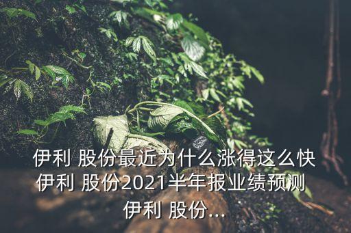  伊利 股份最近為什么漲得這么快 伊利 股份2021半年報業(yè)績預(yù)測 伊利 股份...