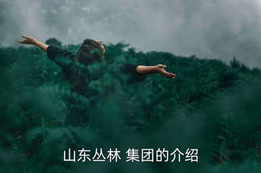 龍口港集團(tuán)有限公司具體地址,煙臺港集團(tuán)龍口港有限公司