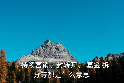 ...持續(xù)營(yíng)銷、封轉(zhuǎn)開、 基金 拆分等都是什么意思