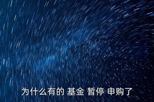 基金暫停申購(gòu)是什么意思,支付寶的貨幣基金申購(gòu)是什么意思