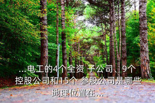 ...電工的4個(gè)全資 子公司、9個(gè) 控股公司和15個(gè) 參股公司是哪些地理位置在...