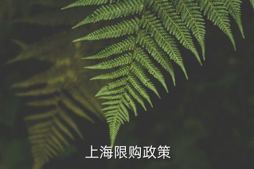  上海限購(gòu)政策