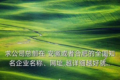 求公司總部在 安徽或者合肥的全國知名企業(yè)名稱、網(wǎng)址,越詳細(xì)越好就...