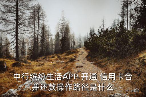 中行繽紛生活APP 開通 信用卡合并還款操作路徑是什么