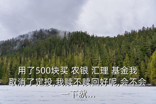 用了500塊買 農(nóng)銀 匯理 基金我取消了定投,我贖不贖回好呢,會不會一下就...