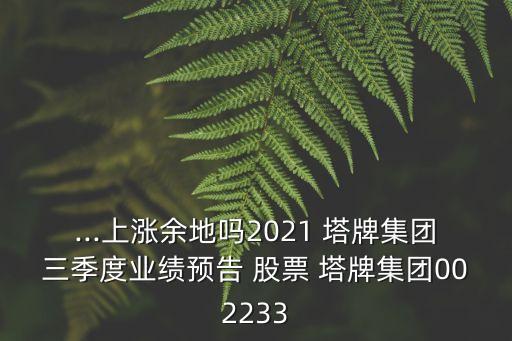 ...上漲余地嗎2021 塔牌集團三季度業(yè)績預(yù)告 股票 塔牌集團002233