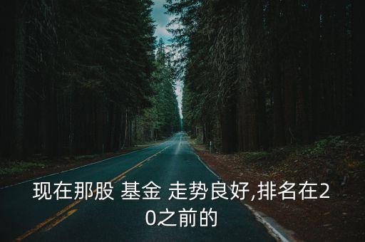 現(xiàn)在那股 基金 走勢良好,排名在20之前的