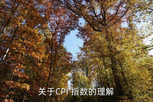 關(guān)于CPI 指數(shù)的理解