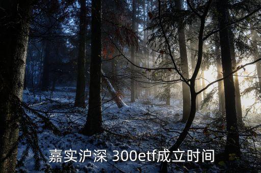  嘉實(shí)滬深 300etf成立時間