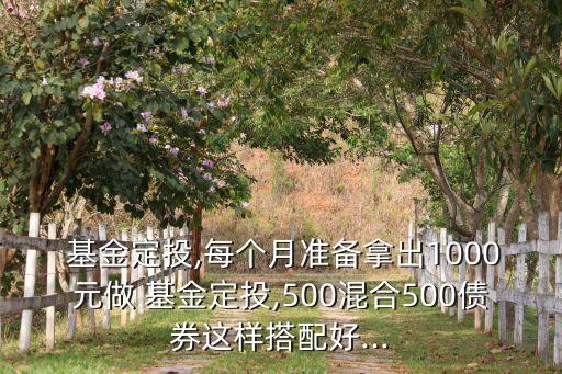  基金定投,每個(gè)月準(zhǔn)備拿出1000元做 基金定投,500混合500債券這樣搭配好...