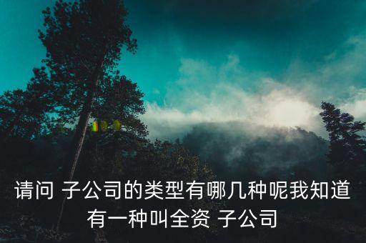 請(qǐng)問(wèn) 子公司的類型有哪幾種呢我知道有一種叫全資 子公司