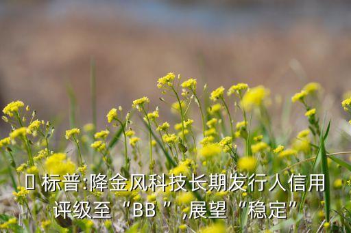 ? 標(biāo)普:降金風(fēng)科技長(zhǎng)期發(fā)行人信用評(píng)級(jí)至“BB ”,展望“穩(wěn)定”