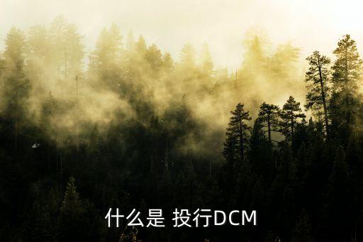 什么是 投行DCM