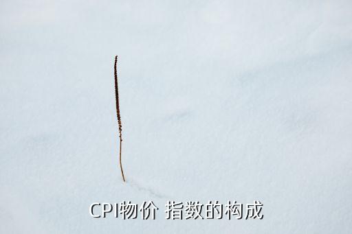 CPI物價 指數(shù)的構(gòu)成