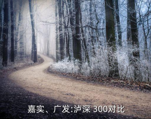  嘉實(shí)、廣發(fā):瀘深 300對比