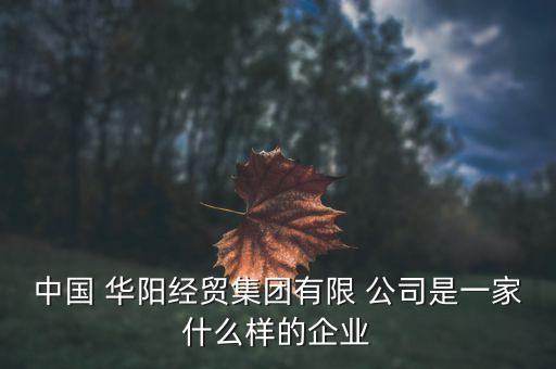 中國華陽金融租賃有限責任公司,太平石化金融租賃有限責任公司