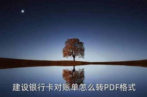  建設(shè)銀行卡對(duì)賬單怎么轉(zhuǎn)PDF格式