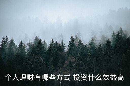 個(gè)人理財(cái)有哪些方式 投資什么效益高