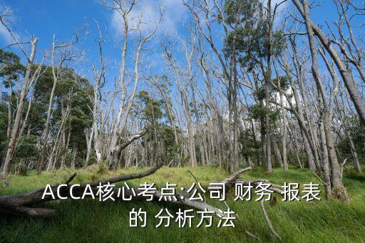 ACCA核心考點:公司 財務 報表的 分析方法