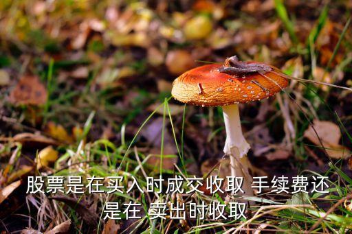  股票是在買入時成交收取 手續(xù)費(fèi)還是在 賣出時收取