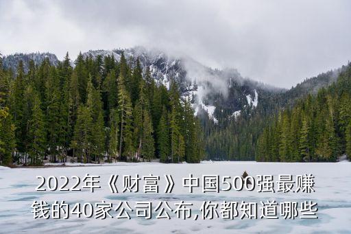 2022年《財(cái)富》中國500強(qiáng)最賺錢的40家公司公布,你都知道哪些