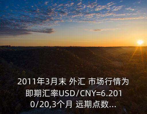 2011年3月末 外匯 市場行情為即期匯率USD/CNY=6.2010/20,3個(gè)月 遠(yuǎn)期點(diǎn)數(shù)...