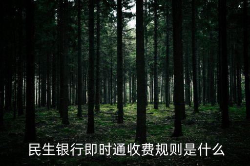  民生銀行即時通收費規(guī)則是什么