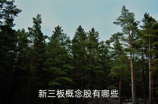 聯(lián)飛翔股票,北京聯(lián)飛翔科技股份有限公司怎么樣