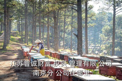 江蘇普誠財(cái)富 投資 管理有限 公司 南京分 公司在哪里