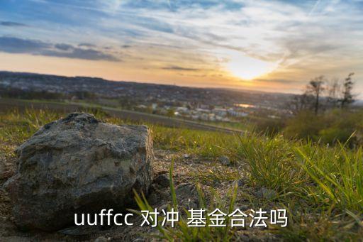 uuffcc 對沖 基金合法嗎