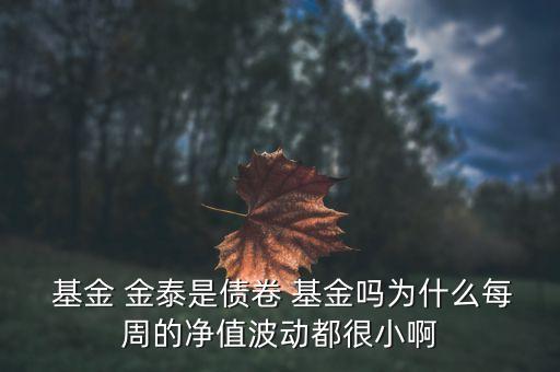  基金 金泰是債卷 基金嗎為什么每周的凈值波動都很小啊